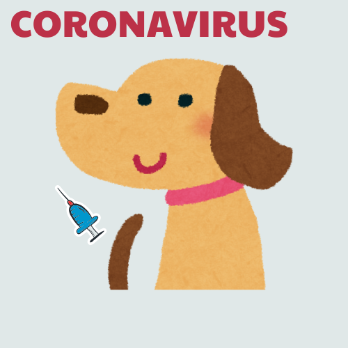 Canine Coronavirus