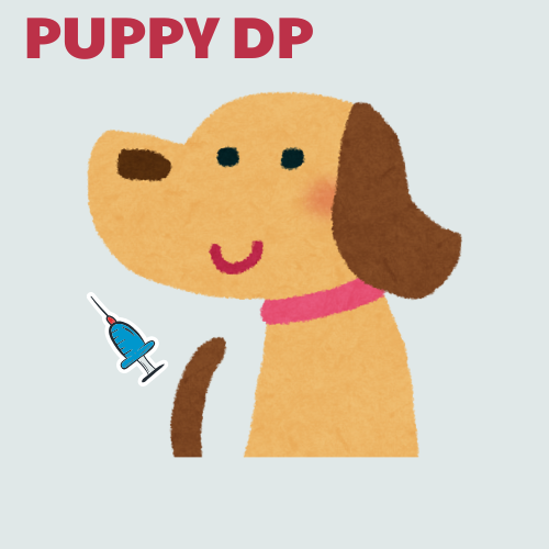 Puppy DP