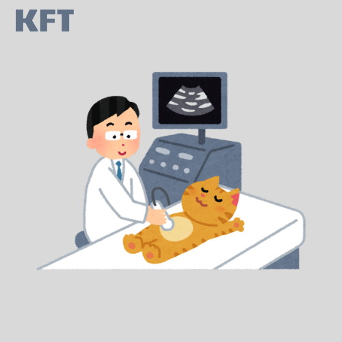 Kidney Function Test (KFT)