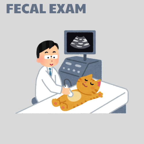 Fecal Examintation