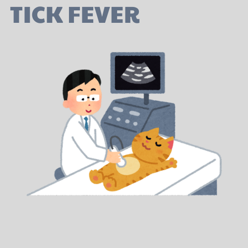 PCR Tick Fever Panel