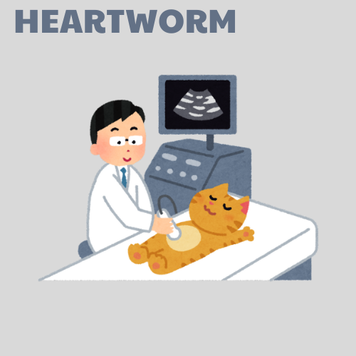 Heartworm Test