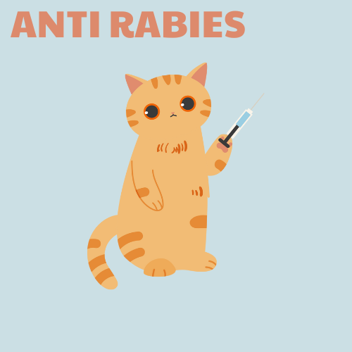 Anti Rabies