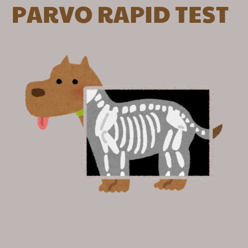 Parvo Rapid Test