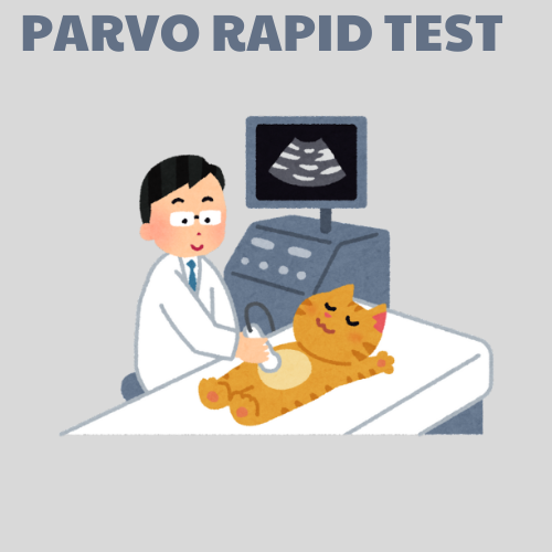 Parvo Rapid Test