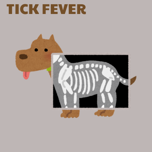 PCR Tick Fever Panel